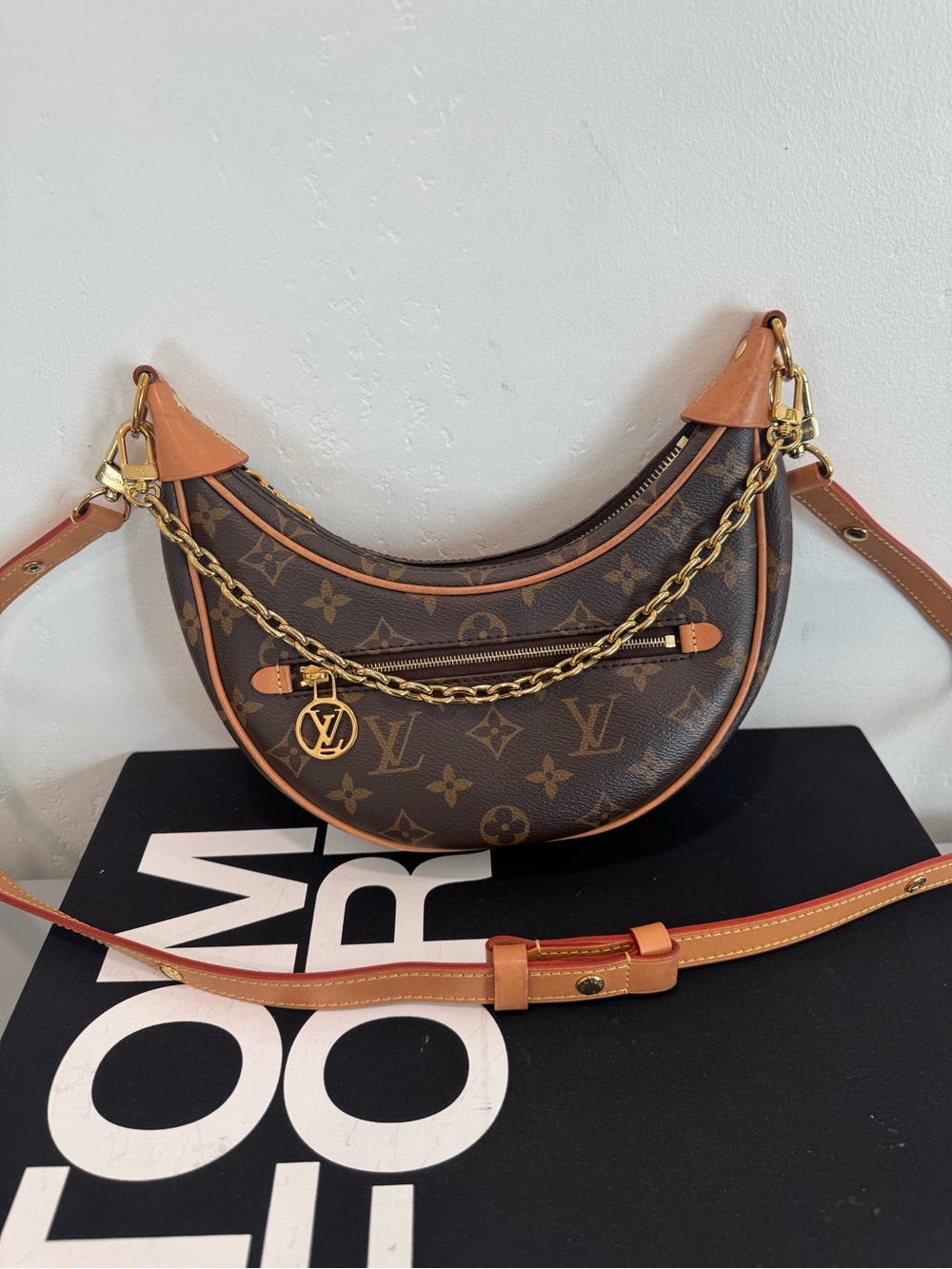 Louis Vuitton Monogram Loop PM
